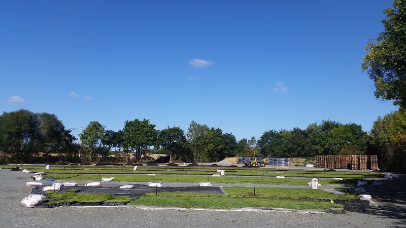 caissettes sedums direct pépinière